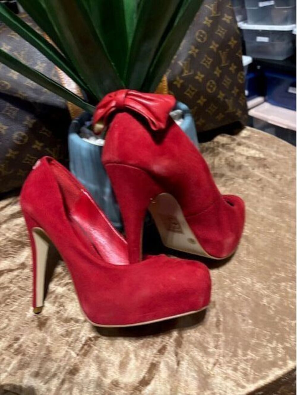 Dolce Vita Suede w/Leather 1 Bow (Red) W-8